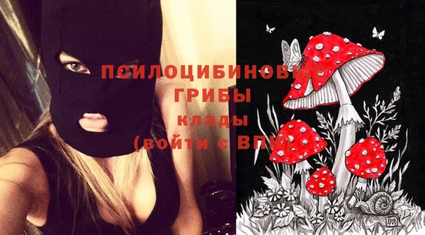 молекула духа Балахна