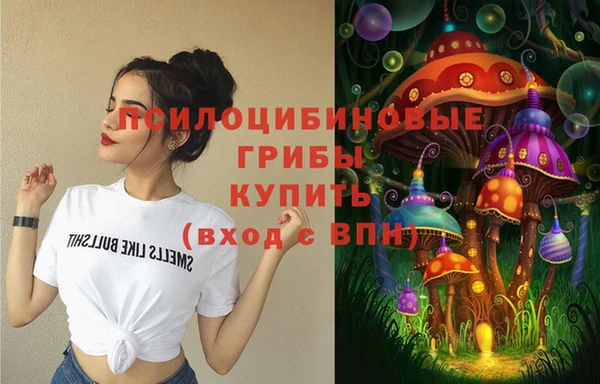 молекула духа Балахна