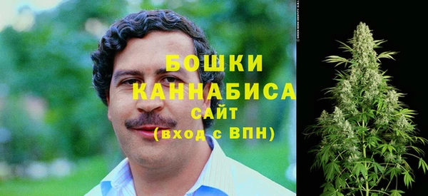 молекула духа Балахна