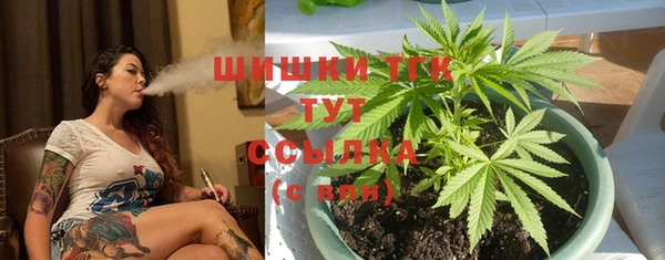 молекула духа Балахна