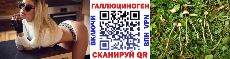 Галлюциногенные грибы GOLDEN TEACHER  мега вход  Юрьев-Польский 
